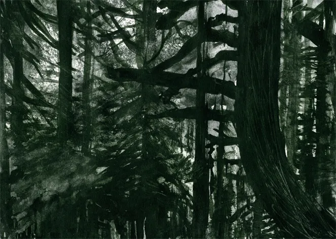 Extrait de Récifs #3